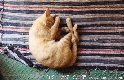 那些拿时间换钱的年轻人，从一开始就输了