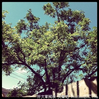 职场中，这些“黑话”你真的听懂了吗？