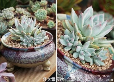 《少女小渔》经典影评10篇