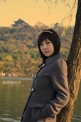 《沉落的黄昏》读后感10篇
