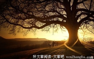 爱我少一点，但爱我久一点