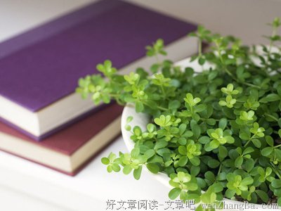 黑白颠倒的句子