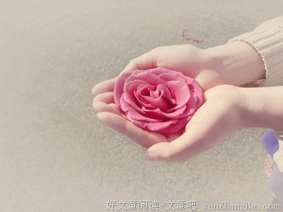 2017郎咸平名言大全