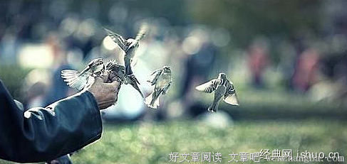 有关新觉罗的美文美句摘抄
