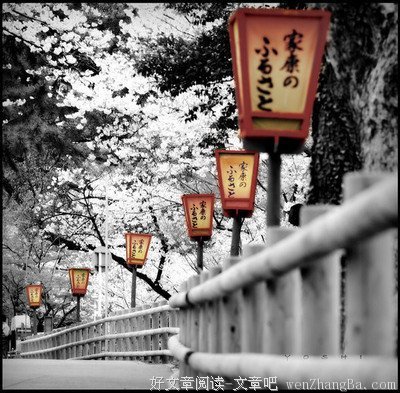 最经典的《澜本嫁衣》经典的句子