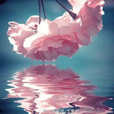 《后会无期》佳句摘抄