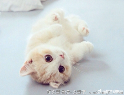 最经典的《半生缘》语录摘抄大全