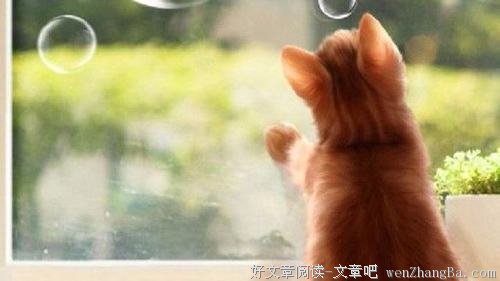 关系再好 也不要忽视的十条潜规则
