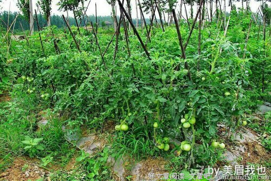 你们因为什么没在一起呢？
