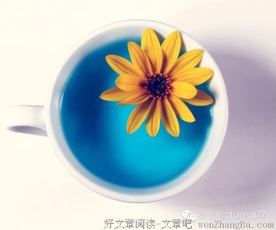 看你微信头像，我放弃撩你