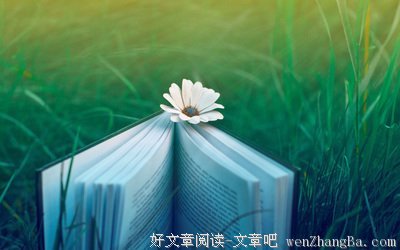 《日日100》读后感精选10篇