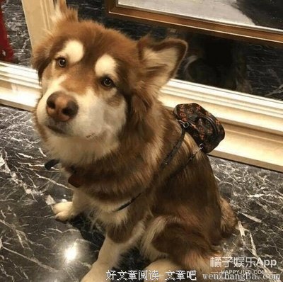 分手后，你只有比他活得好才算是赢家