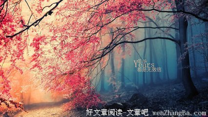 最经典的《网络》好段摘抄