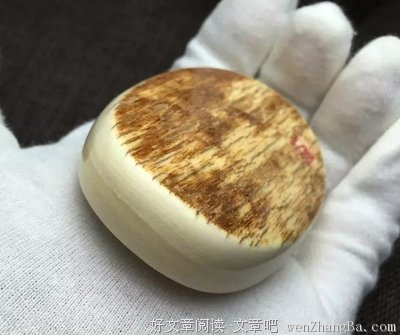 一片小指甲般大的骨牌