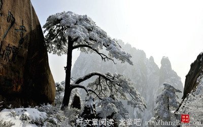 关于菜根谭的名言