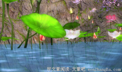 精彩纷呈的名句_关于精彩纷呈的名句