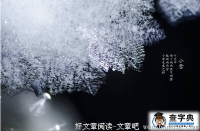 最新的《千古绝对》经典的句子大全