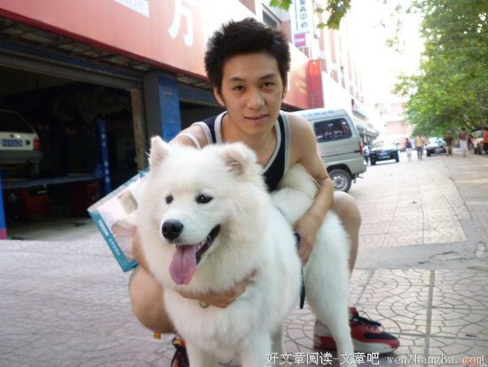 《爱犬的奇迹》影评10篇