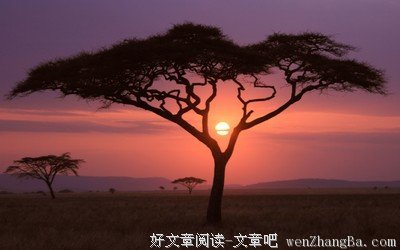 日落之后读后感精选10篇