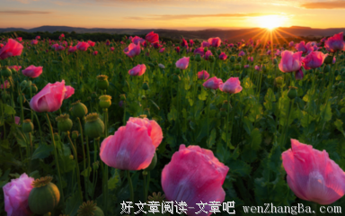 崎岖的语句摘抄_关于崎岖的语句
