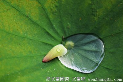 关于斯本的座右铭