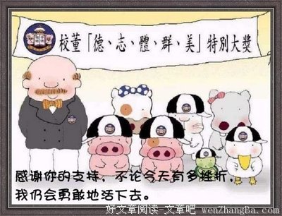 关于小猪的唯美语录
