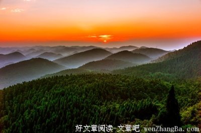 《重庆森林》经典语句大全