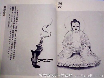 井底之蛙的名言_关于井底之蛙的名言