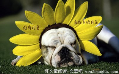 15条关于哈巴的经典语句
