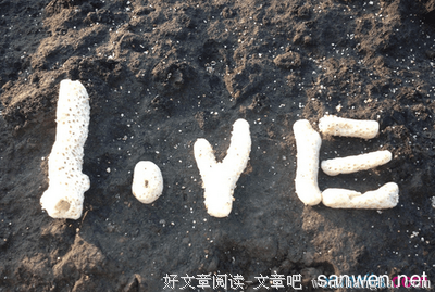 有关欣喜若狂的美句摘抄