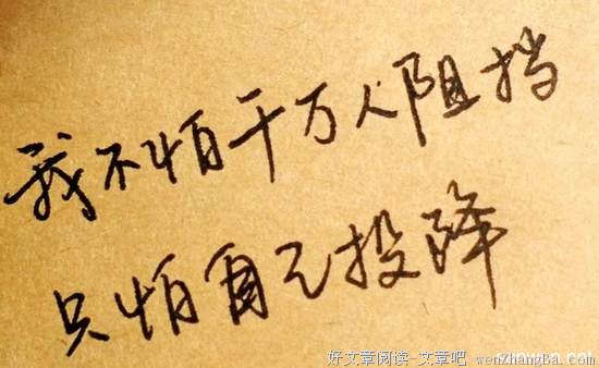 关于不懈努力的名言