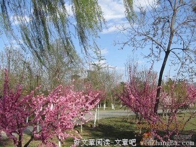 最全的《亮剑》经典的句子