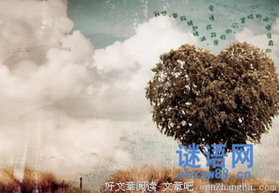 最经典的《同桌的你》经典的句子大全