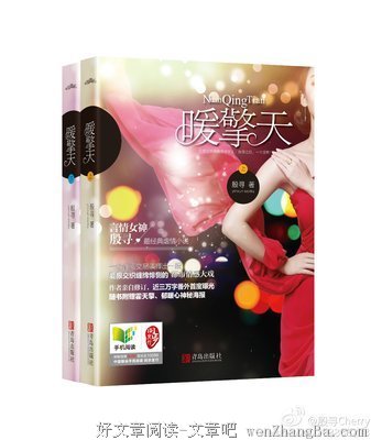 最全的《豪门惊梦》小说摘抄