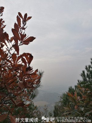 早读：学会静静地欣赏