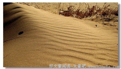 你有得到过陌生人的温暖吗？