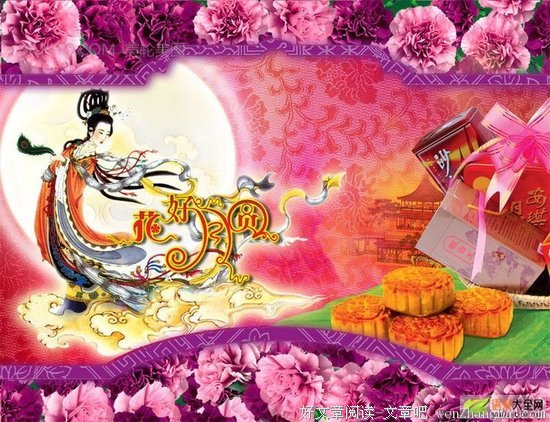 最新的《岛上书店》佳句摘抄大全