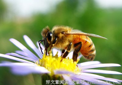 最全的《我的皇后前传》佳句摘抄