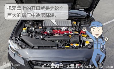 最新的《滑头鬼之孙》佳句摘抄大全