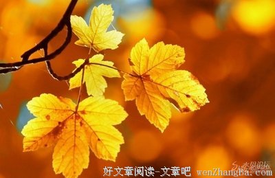 林月的句子