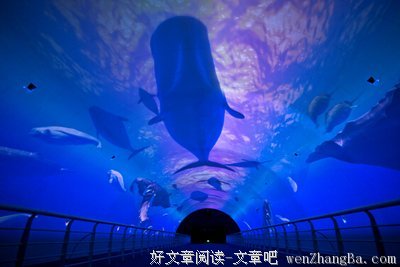 一诺：在糟糕的世界里，做一个自由的人