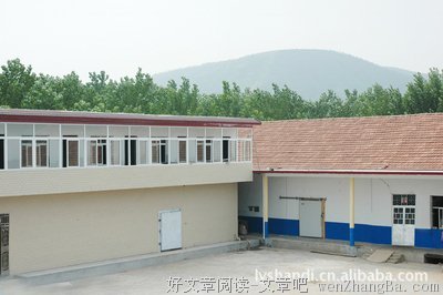 一个比谁更笨的时代来了