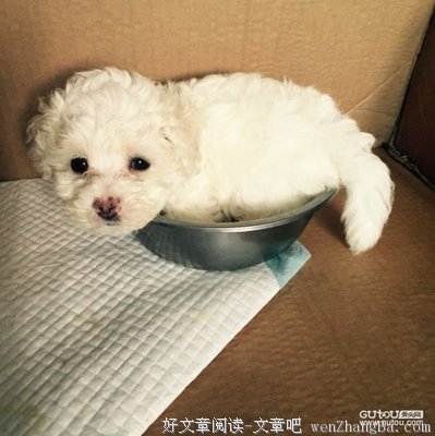 还能不能好好地吃饭了！