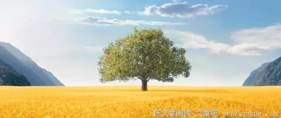 关于怦然心动的座右铭