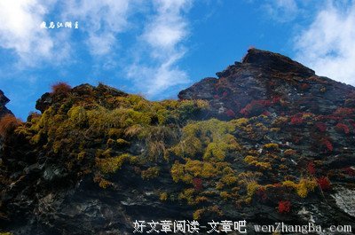 我们那些为了梦想而栩栩如生的崩溃