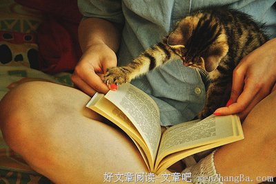 关于王老五的语句