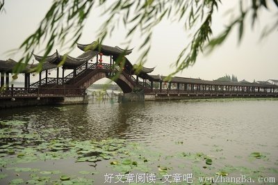 最全的《廊桥遗梦》经典语录大全