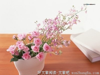 今日冬至，一曲《友谊地久天长》送给大家，祝您 冬至快乐！