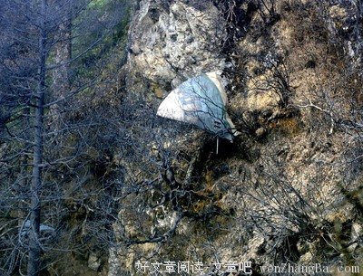 《失事》观后感10篇