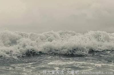 《极致之美》的读后感10篇
